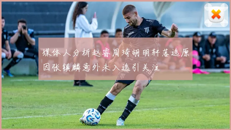 媒体人分析赵睿周琦胡明轩落选原因张镇麟意外未入选引关注