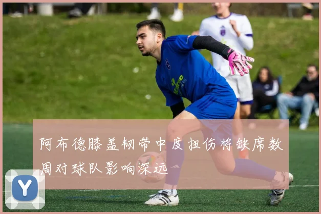 阿布德膝盖韧带中度扭伤将缺席数周对球队影响深远