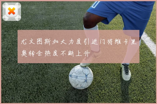 尤文图斯加大力度引进门将维卡里奥转会热度不断上升